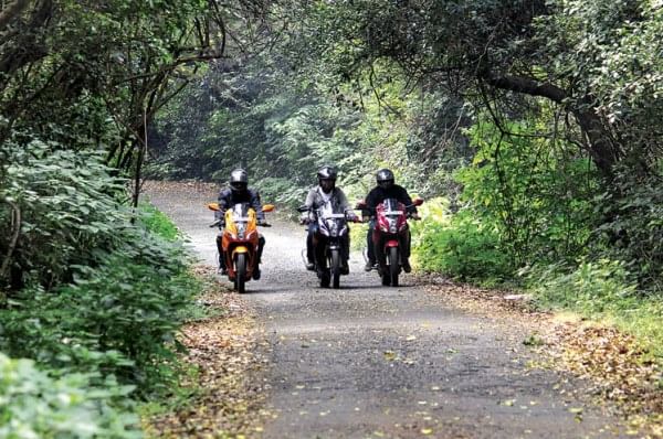 Promotional feature: The Wanderers set forth